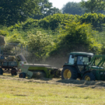 Agroalimentare italiano da record: nel 2024 l’export dei distretti supera i 28 miliardi
