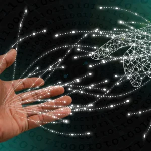 Lazio Digital Summit 2025: innovazione e sviluppo al centro dell’agenda regionale