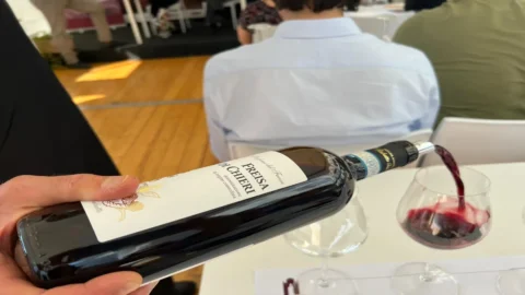 “Di Freisa in Freisa” una festa del vino per far conoscere il patrimonio enogastronomico e culturale del territorio di Chieri