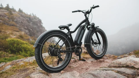 Bicicletta