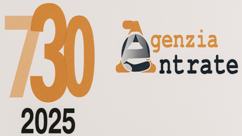 Dichiarazione 2025