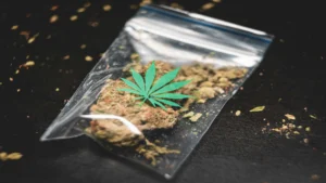 Droga, cannabis