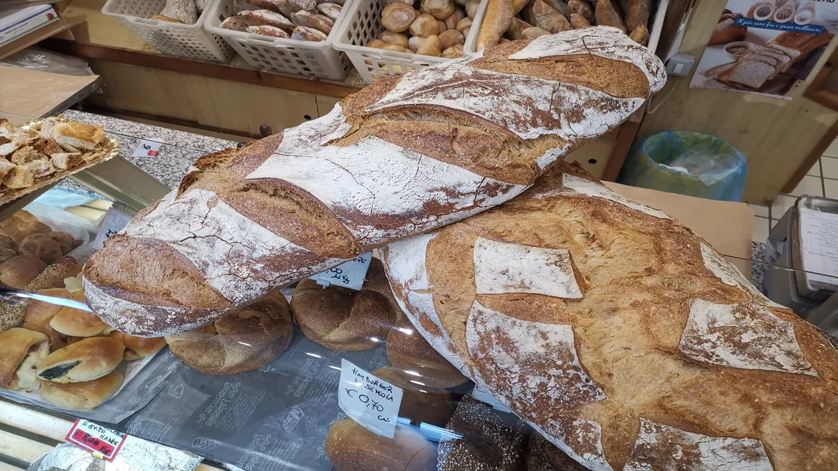 Pane