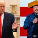Cosa sono gli Epstein files e perché tra Musk e Trump potrebbe già tornare la pace: telefonata dopo lo scontro. E Tesla rimbalza
