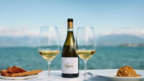 Lugana Armonie Senza Tempo: nei giardini di Palazzo Brancaccio alla scoperta sensoriale di uno dei vini simbolo del Lago di Garda