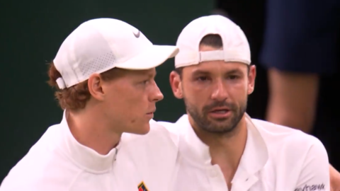 Sinner e Dimitrov a Wimbledon