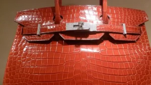 Borsa Birkin di Hermès