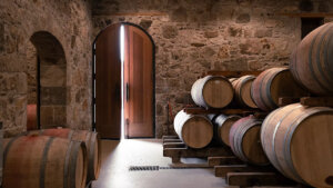 Cantina vini collezione