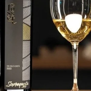 Şaraplar: Rosset Terroir'dan Sopraquota 900, uluslararası alanda tanınan bir dağ kalitesinin kanıtı olan kahramanca bir bağcılığın tercihi&nbsp;
