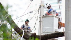 Enel Brasil