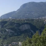 Viticoltura a piede franco: convegno nazionale a Ercolano su sostenibilità ambientale e potenzialità economiche per la riqualificazione dei borghi