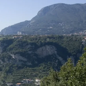 Viticoltura a piede franco: convegno nazionale a Ercolano su sostenibilità ambientale e potenzialità economiche per la riqualificazione dei borghi