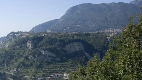 Viticoltura a piede franco: convegno nazionale a Ercolano su sostenibilità ambientale e potenzialità economiche per la riqualificazione dei borghi