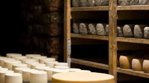 Botteghe Antiche a Putignano, il coraggioso ritorno alla trattoria di paese: la rivoluzione al contrario di Stefano D’Onghia