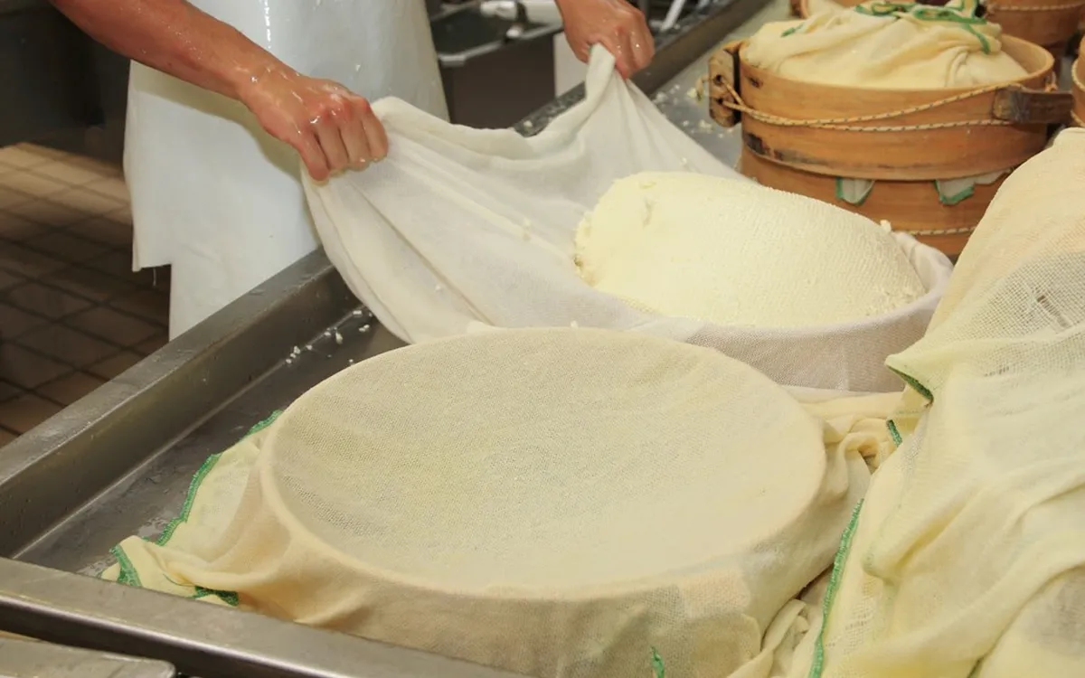 lavorazione formaggi