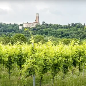 Recioto, eine neue Spezifikation für den traditionsreichen Valpolicella-Wein, ein Slow Food Presidium (eine Premiere für einen DOCG).