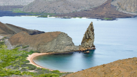 Overtourism, allarme anche alle Galapagos: ci sono più Airbnb che alberghi