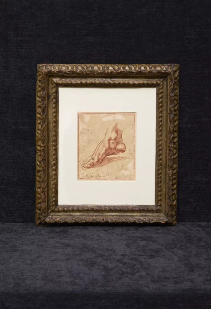 Disegno piede di Sibilla