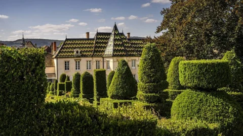 Asta Christie’s: Celebrazione di Aux Reignots e Vini Storici dalle Cantine di Bouchard Père & Fils