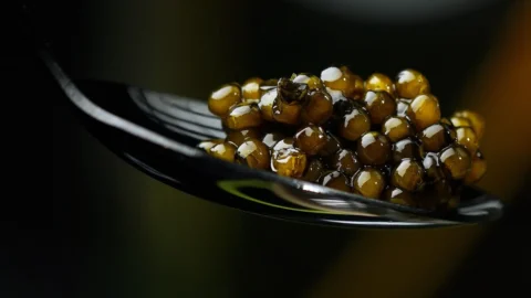 Acquacoltura italiana: oltre 51mila tonnellate di pesce allevato e record europeo per il caviale