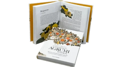Fantastico viaggio tra gli agrumi d’Italia: un raffinato libro di Olschki ci trasporta tra i profumi intensi e soleggiati del Mediterraneo
