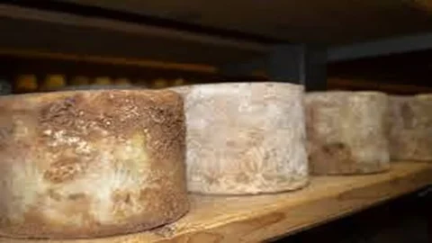 Castelmagno d'alpeggio: aroma dan cita rasa padang rumput pegunungan dalam keju yang mewujudkan pengetahuan biara-biara kuno di Lembah Grana.