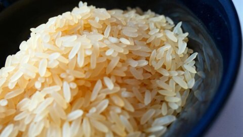 In Sudamerica coltivare riso non conviene più: allarme per l’aumento dei prezzi