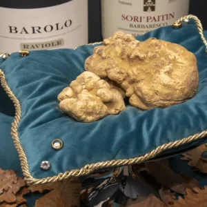 No leilão mundial de trufas brancas de Alba, uma trufa de um quilo foi vendida por € 110.000 em Hong Kong.