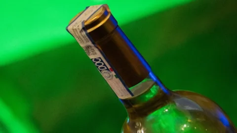 Anggur: anggur dari Konsorsium Roma DOC akan disertifikasi dengan stempel negara dan kode QR.