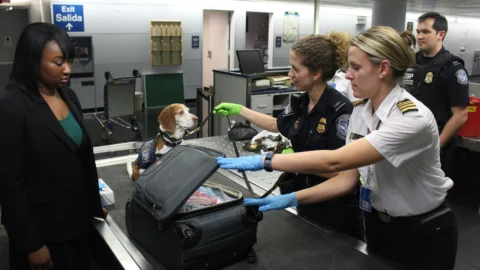 Entrare negli Usa? Prima controlliamo i social: la stretta di Trump spaventa i turisti