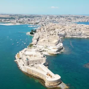 L’oliva Zaituna siracusana nuovo presidio siciliano assieme all’antica varietà dei grani Gentili