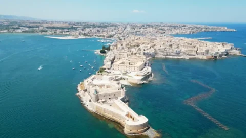 L’oliva Zaituna siracusana nuovo presidio siciliano assieme all’antica varietà dei grani Gentili