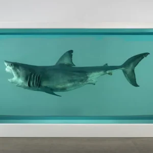 Arte contemporanea e mercati finanziari: tra valore estetico e asset d’investimento