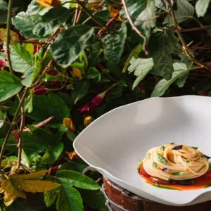 La ricetta degli Spaghetti all’acqua di pomodoro, pomodori e basilico, la proposta dello chef Pasquale Minciguerra per un cucina salutare e di gusto (dopo gli eccessi delle feste)