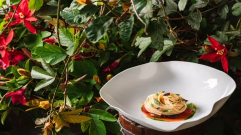 La ricetta degli Spaghetti all’acqua di pomodoro, pomodori e basilico, la proposta dello chef Pasquale Minciguerra per un cucina salutare e di gusto (dopo gli eccessi delle feste)