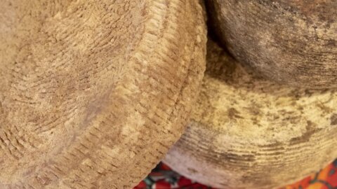 Keju kambing Aspromonte, keju berharga dengan cita rasa wilayah liar dan pedesaan, buah dari pengetahuan kuno yang diwariskan dari ayah ke anak.