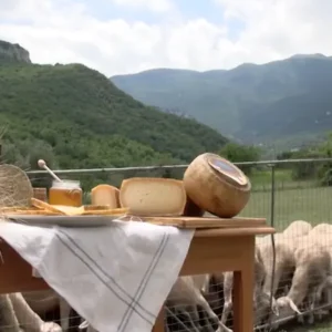 Pecorino di Farindola: il formaggio abruzzese dalla tradizione millenaria, l’unico realizzato con caglio di maiale