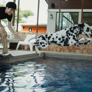 Pet fitness, in Brasile è boom: dal nuoto al pilates per cani, i padroni spendono fino a 8.000 euro l’anno