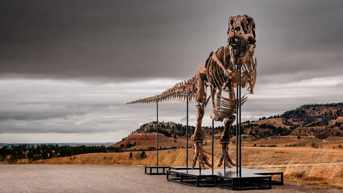 Tyrannosaurus Rex
