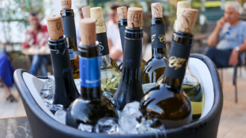 Casavecchia & Pallagrello Wine Festival: tre giorni dedicati alla promozione dei vini identitari dell’alto casertano