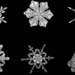 Al MUDEC di Milano una grande mostra sulla neve tra arte, scienza e culture del mondo: dall’Artico alla Terra del Fuoco