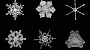 Al MUDEC di Milano una grande mostra sulla neve tra arte, scienza e culture del mondo: dall’Artico alla Terra del Fuoco