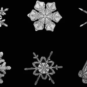 Al MUDEC di Milano una grande mostra sulla neve tra arte, scienza e culture del mondo: dall’Artico alla Terra del Fuoco