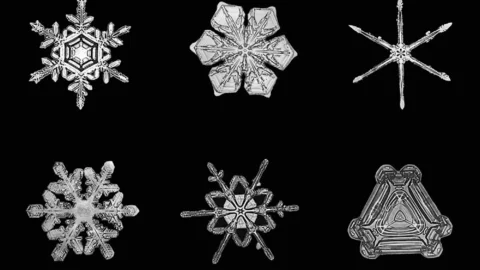 Al MUDEC di Milano una grande mostra sulla neve tra arte, scienza e culture del mondo: dall’Artico alla Terra del Fuoco