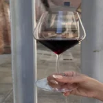 Cinque detenuti del carcere di Siena laureati Sommelier AIS con il progetto “Vite Libera”