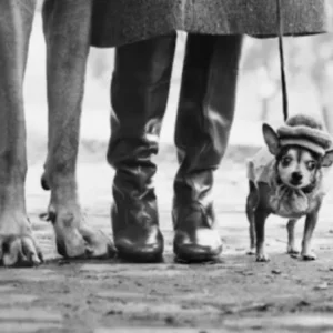 Elliott Erwitt, il maestro dell’ironia e della poesia visiva, in mostra a Bologna da ottobre