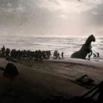 Il Cavallo di Troia: la soglia tra il mito e la coscienza nel film “Odissea” di Nolan