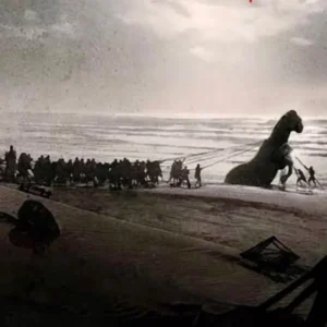 Il Cavallo di Troia: la soglia tra il mito e la coscienza nel film “Odissea” di Nolan