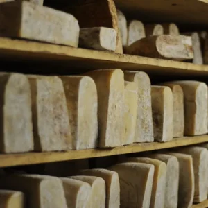 S.O.S.: salvate la pecora Brigasca e i suoi pascoli estivi scoscesi sulle montagne liguri dove si producono tome e giuncate di eccellenza