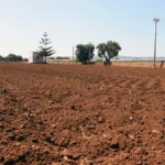 Siccità e caldo record, l’estate 2026 costa miliardi all’Italia: produzioni a rischio e imprese sotto pressione